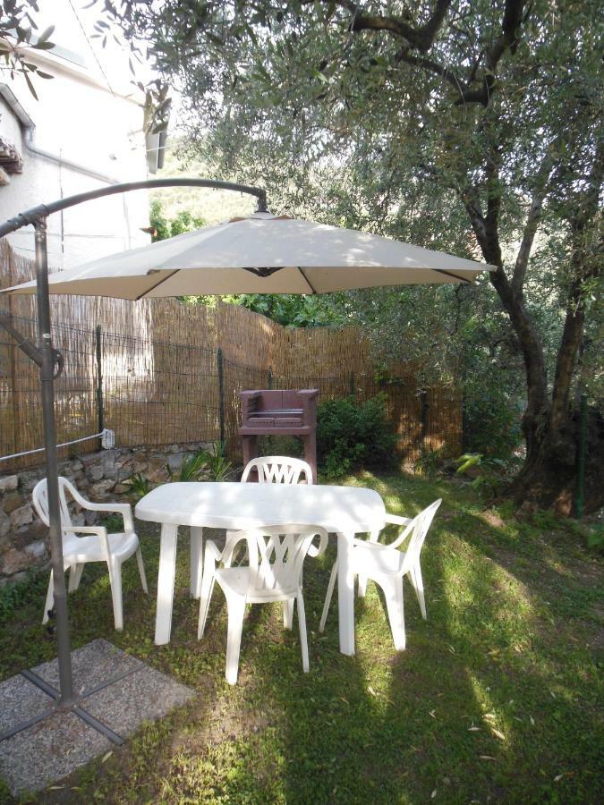 Uliveto Farm stay *
