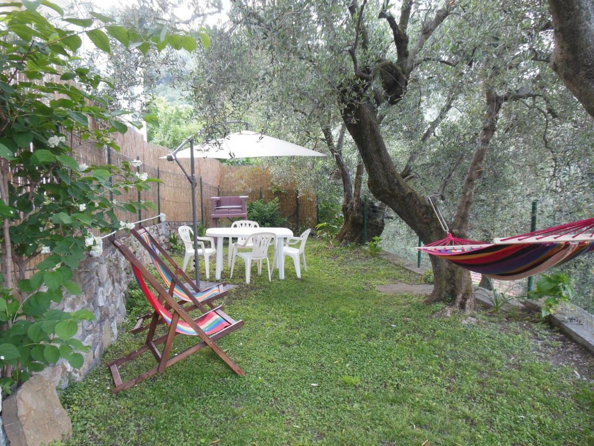 Farm stay Uliveto
